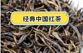 紅茶功效健康生活的新選擇